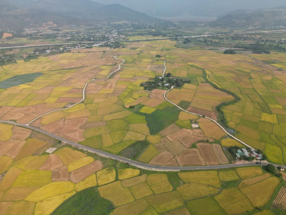 Kho gạo của Đinh Tấn Toàn